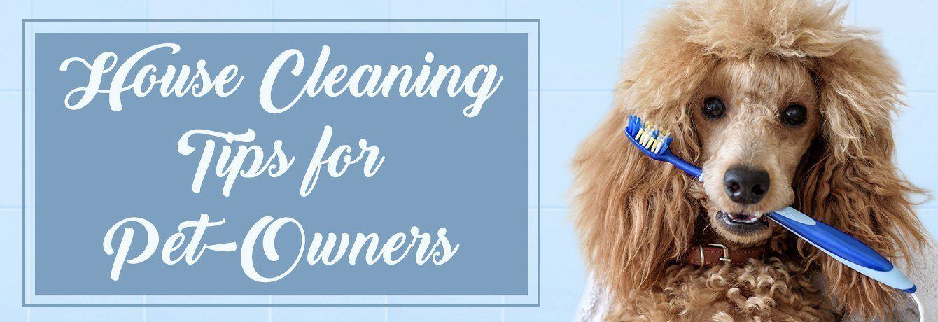 Pet Cleaning Tips